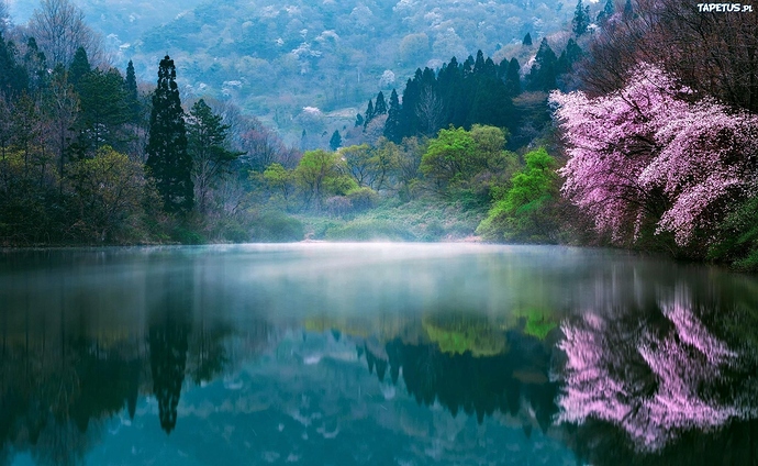 obrazki_n_254823_korea-poludniowa-wiosna-jezioro-poranek-mgla