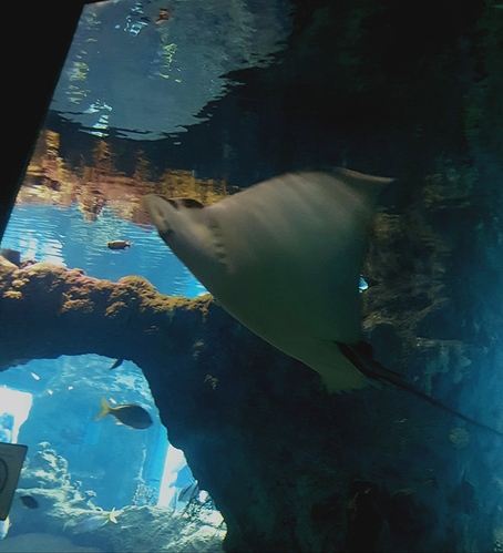 20190917_075943