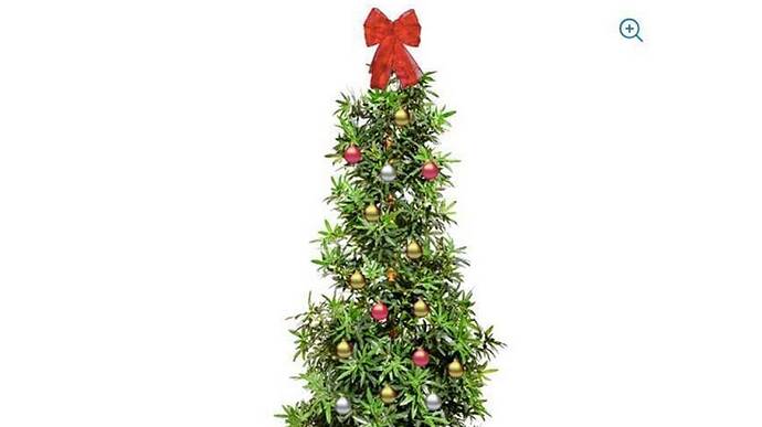 weedtree