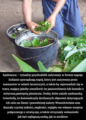 1634748631_by_Vold_500