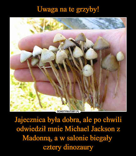 17641947035992494561193774434729