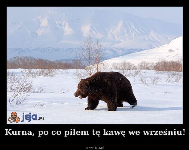 17654895217827641885137720396727