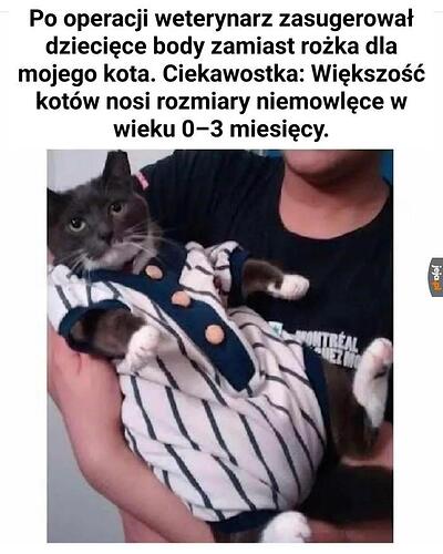 17653898044722915355756136075944