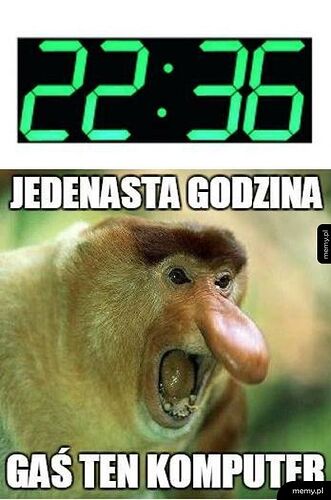 17568508681777286786136557471804