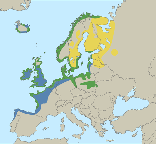 800px-European_Larus_Argentatus_distribution_map.svg