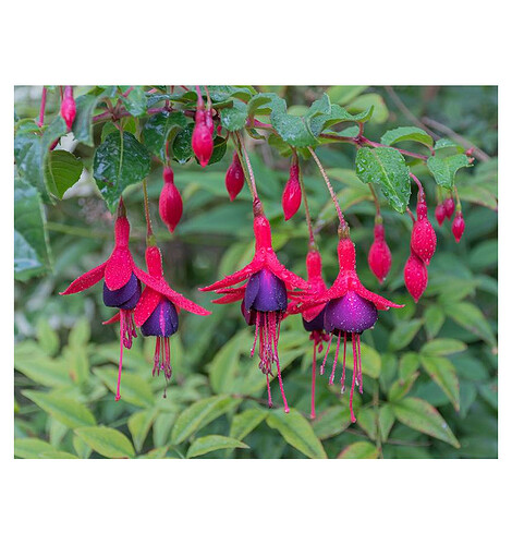 17604410338061779318703132994087