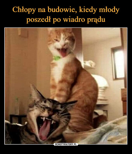 17426751475575833792090181264267