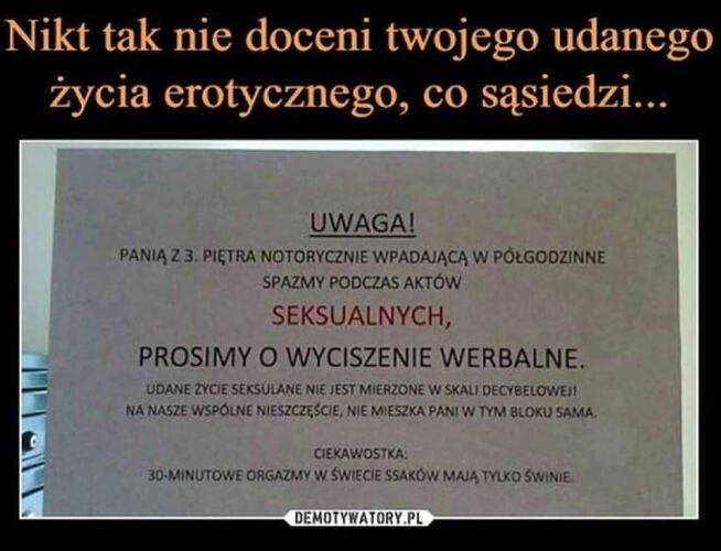 Zrzut ekranu 2026-04-02 213540