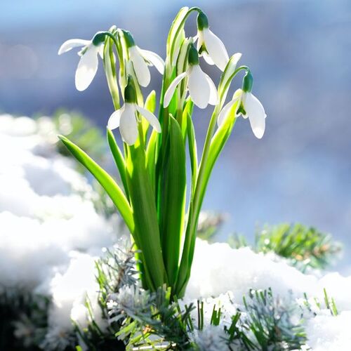 17640320055691792710296089541660