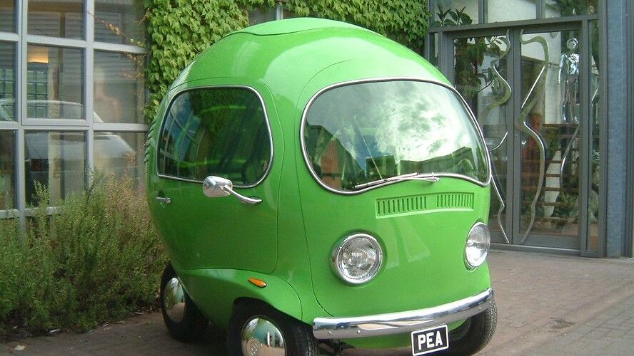 Birdseye Pea Car