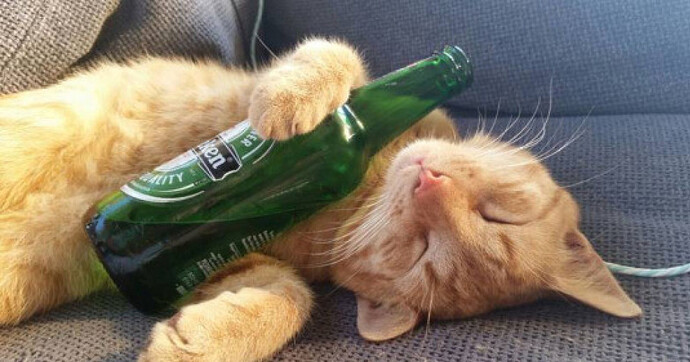 17654058051898047848599928753385