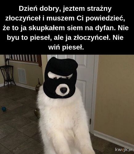 17652978027253160021101162382143