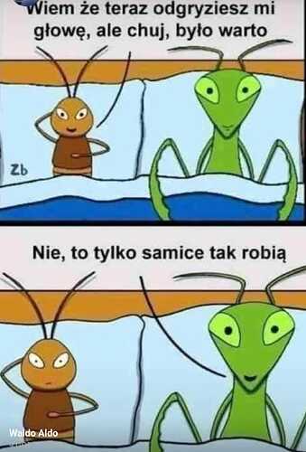 Zdjęcie WhatsApp 2025-05-02 o 16.56.32_560a2e5d