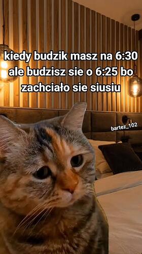 17616685749626301107414830456116