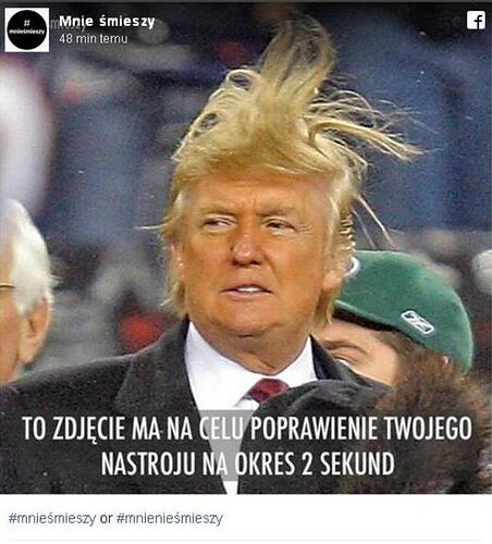 17695343251284118480437248739557