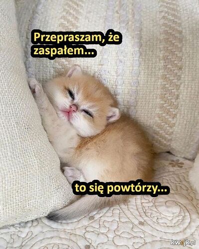 17684990335261684488025031035977