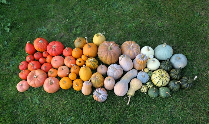 1766947663678877282386136459443