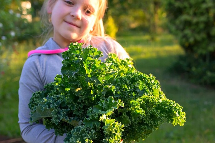 17640001719678399599474235170334