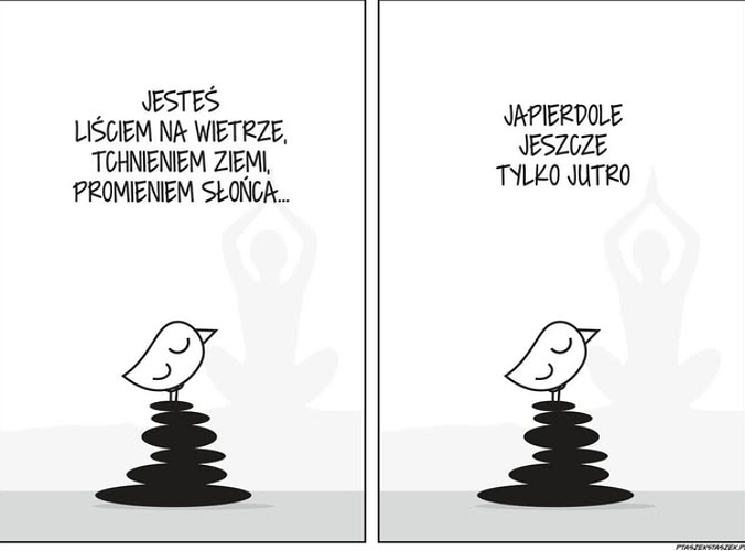 Zrzut ekranu 2025-07-24 100456