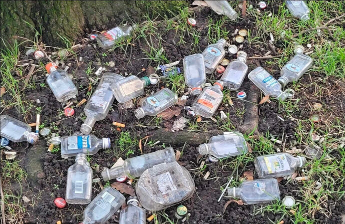 Screenshot_20260419_110136_Google