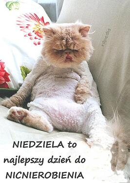niedziela_to_najlepszy_dzien_do_8389
