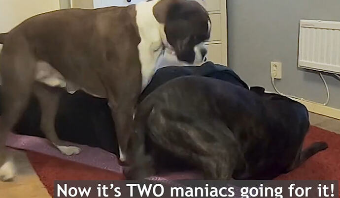 Zrzut ekranu 2026-02-10 220331