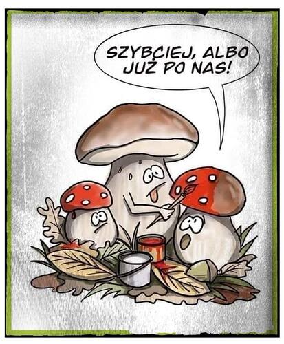 17640833929911029677932926316406