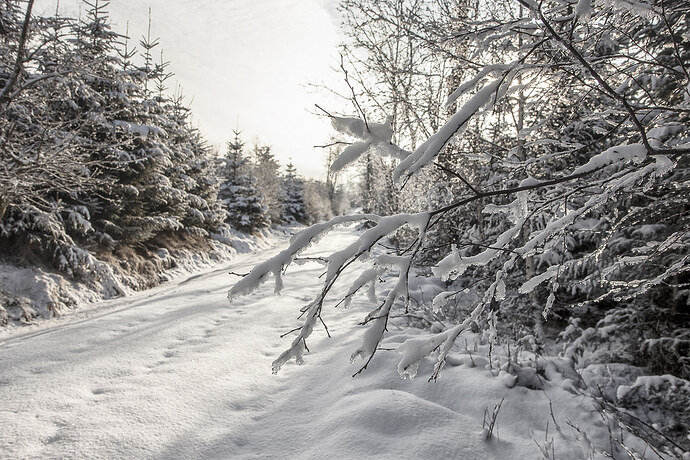 40141789835_a2f89e530d_b