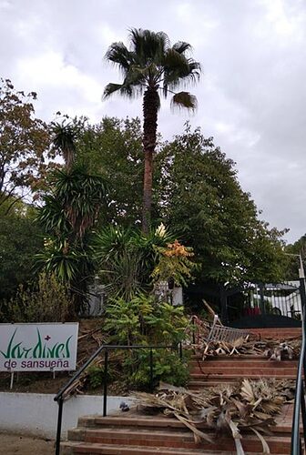 17711627573585781105329881112253