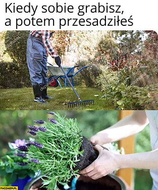 kiedy-sobie-grabisz-a-potem-przesadziles-praca-w-ogrodzie-powiedzenie