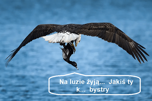 Ja pier...