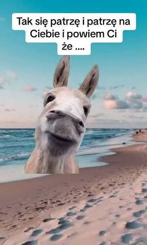 17704767510762652922377559619510