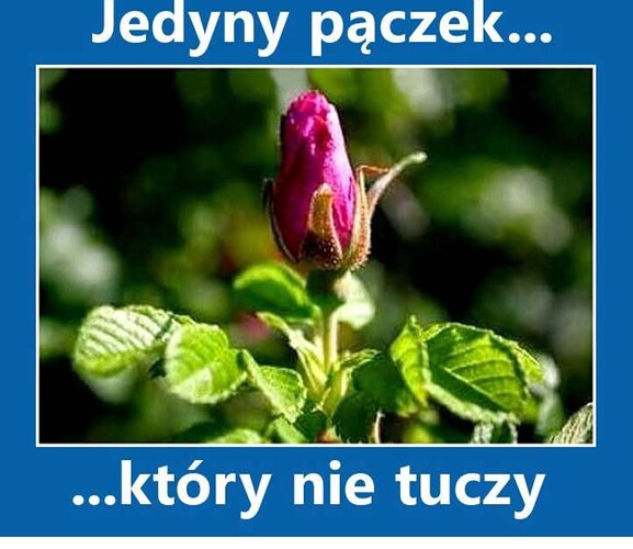 Screenshot_20250226_080200_Facebook