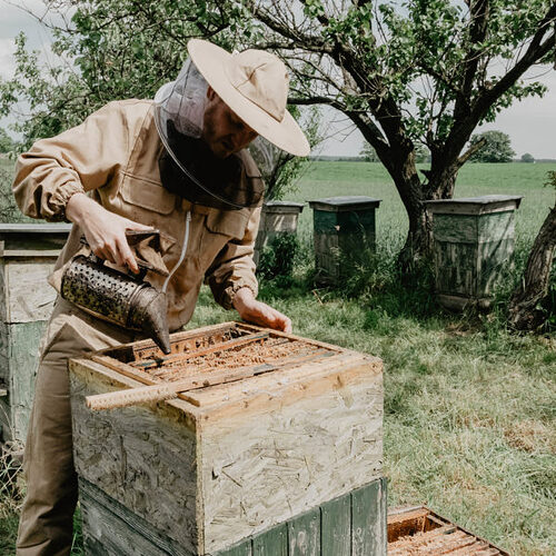 17587110576832879094352256446656