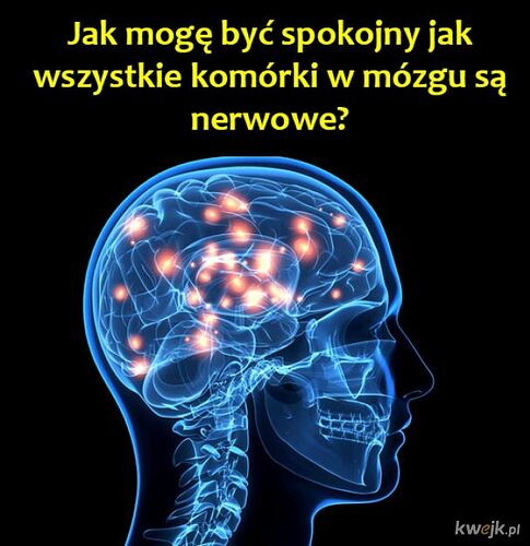 17642859209197381761305993559057