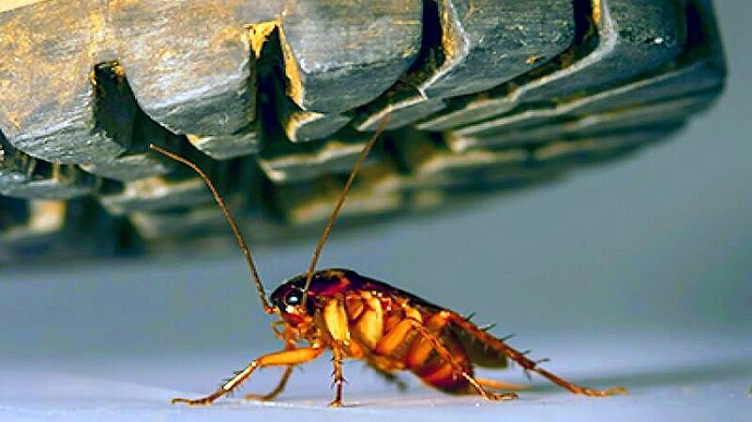 17598458215125949742964592458773