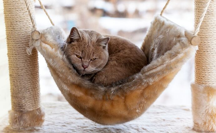 17566727521113215304258291442848