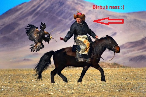 bir%20kon