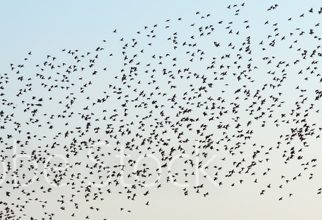 1000_F_179464968_Wa7t63fln1pi7FWyWGZ3Key8Ve2Pq4wD