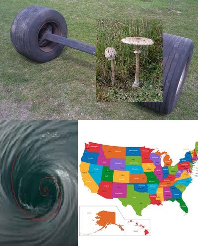 Osi kanie wir USA