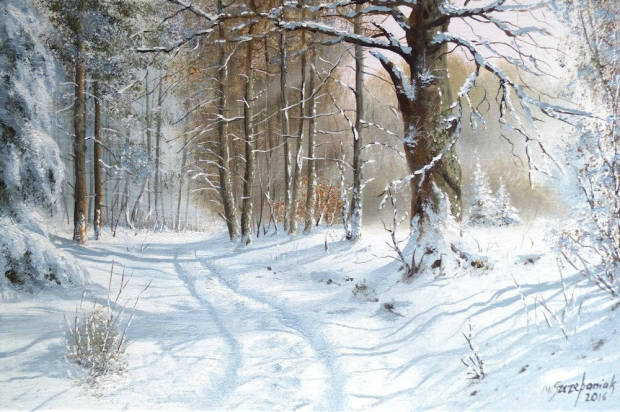 Droga_pod_debem_mszcz113_142788