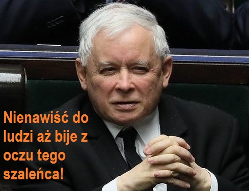 Kaczynski psychol