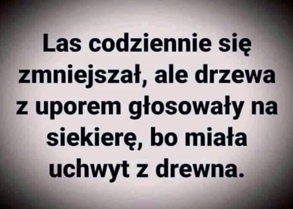 drzewa