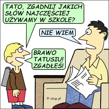 17616784913531255529738327583264