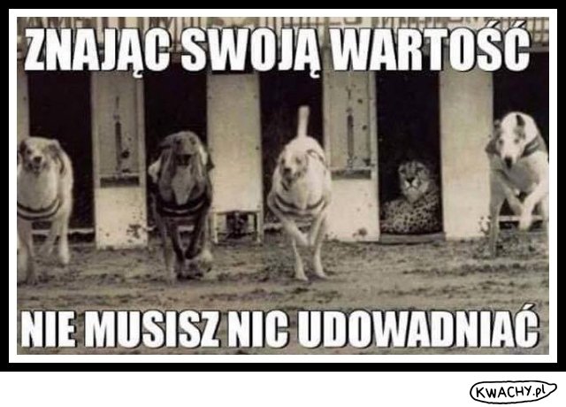 4373-wtedy-nic-nie-musisz-