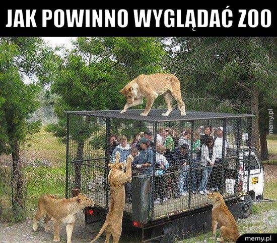 17599393573443590689330492940454