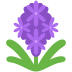hyacinth