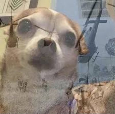 comment_1661609723Y1CxfrreAyNLYHjVeY6eDZ,w400