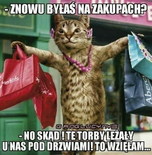 17616442360176963651451658084631