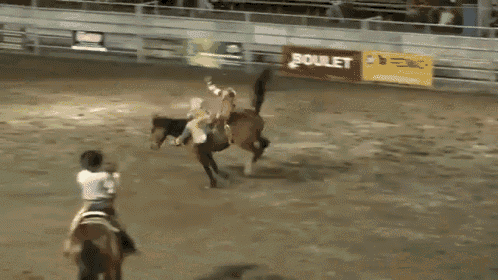 rodeo-horseback-riding